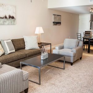 Model unit living area. Fully furnished and decorated in a contemporary style.