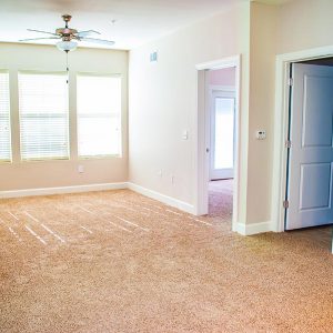 Large living room area. Features carpet, ceiling fan, and plenty of natural light